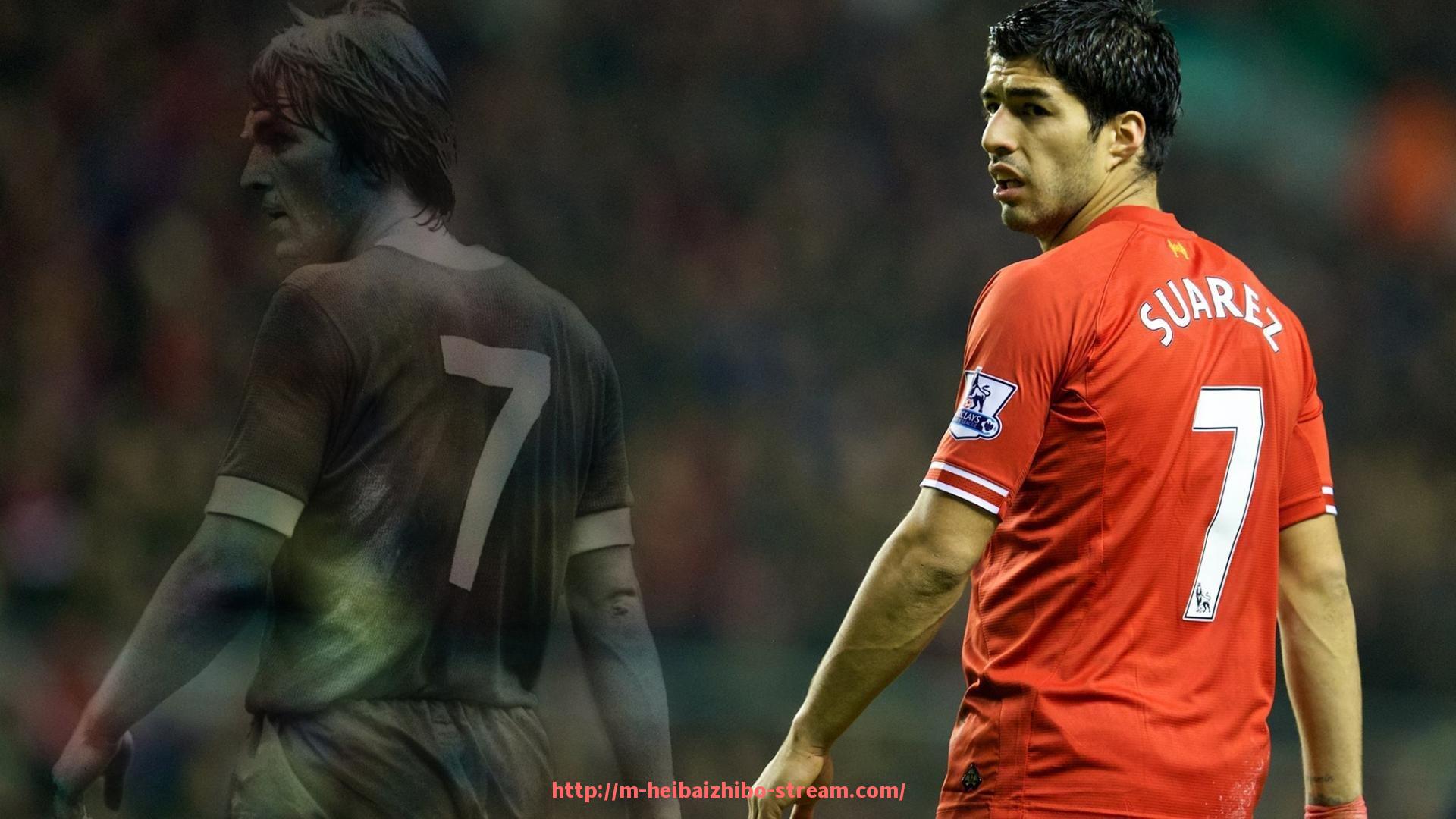 黑白体育直播-天津最大健身器材商城及体育运动器械采购攻略